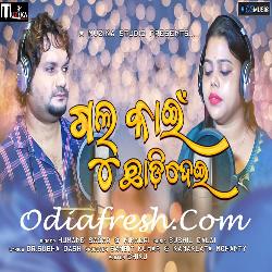 Galu Kain Chhadi Dei